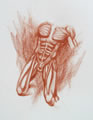 Michael Hensley Drawings, Human Anatomy 19